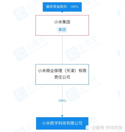 小米數(shù)字科技經(jīng)營(yíng)異常引關(guān)注，旗下小米支付及信息系統(tǒng)運(yùn)行維護(hù)服務(wù)將受何影響？